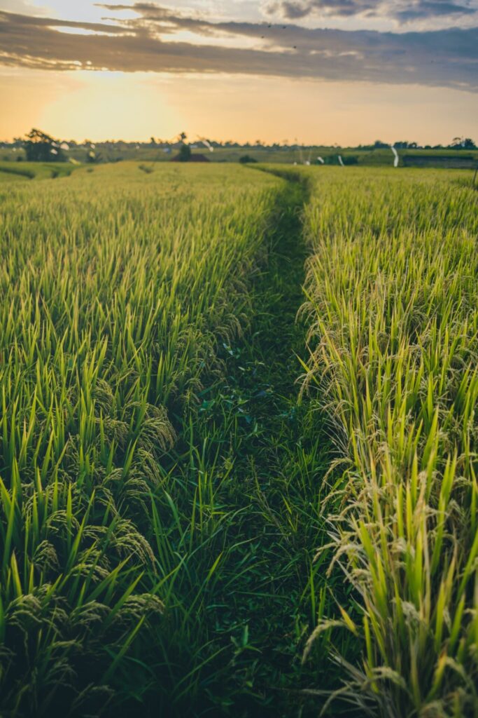 Financement achat matériel agricole